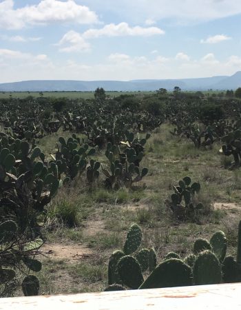 Corazón de México - Jabones